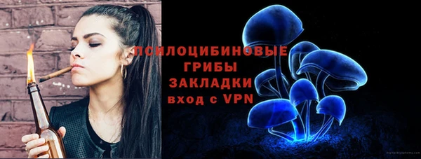 амф Пересвет